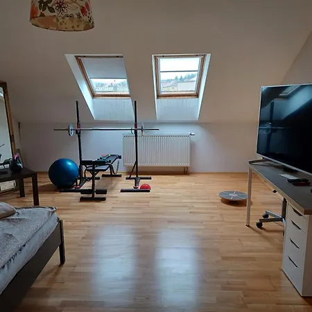 Dvořák 194 Pod Svatou Horou Quarto em Acomodações Particulares *