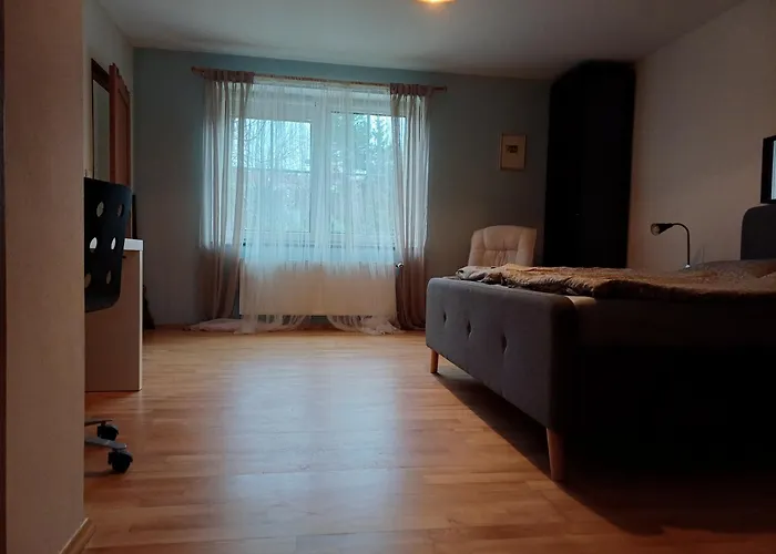 Pansiyon Dvorak 194 Pod Svatou Horou *